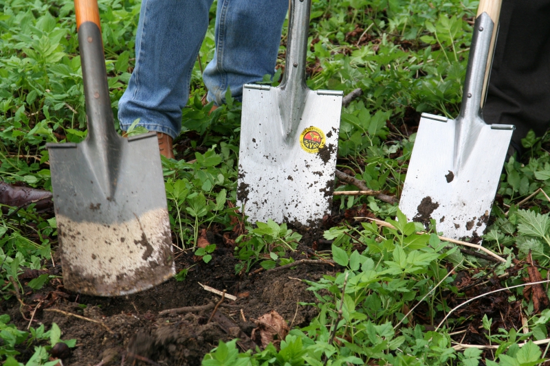 pepiniere-CABASSE-min_work-lawn-flower-tool-green-backyard-1103633-pxhere.com